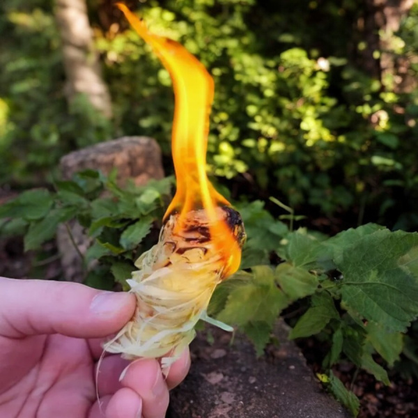 Древесные роллы для розжига 500 грамм / Экологично чистый продукт, без запаха